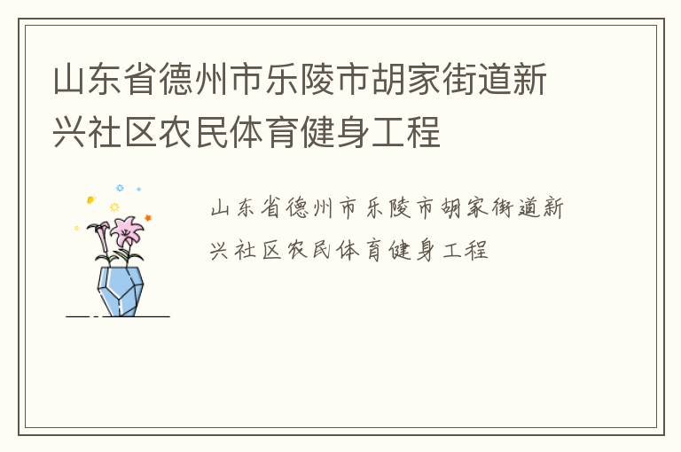 山東省德州市樂陵市胡家街道新興社區(qū)農民體育健身工程