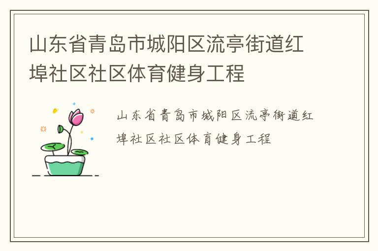 山東省青島市城陽(yáng)區(qū)流亭街道紅埠社區(qū)社區(qū)體育健身工程