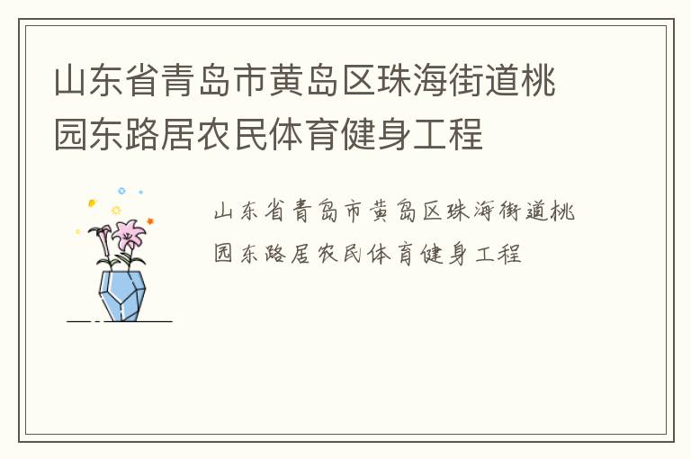 山東省青島市黃島區(qū)珠海街道桃園東路居農(nóng)民體育健身工程 山東省青島市黃島區(qū)珠海街道桃園東路居農(nóng)民體育健身工程