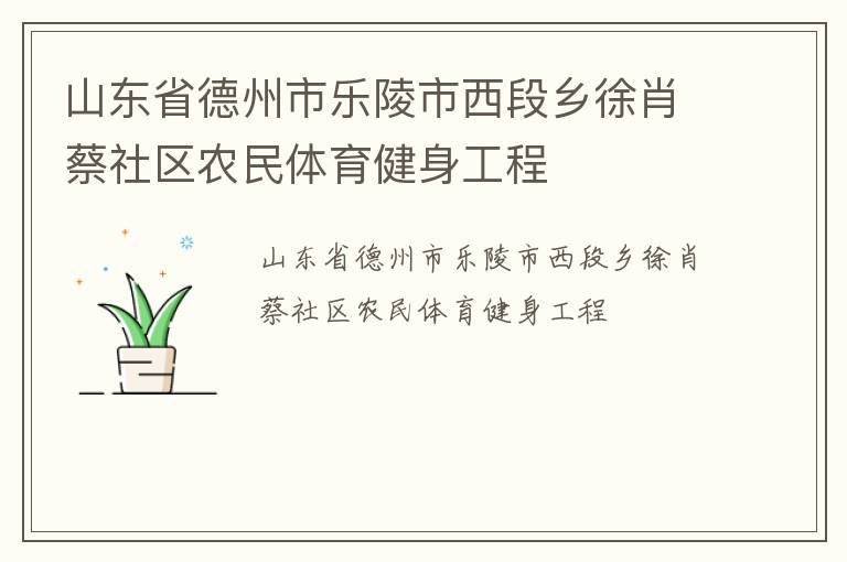 山東省德州市樂陵市西段鄉(xiāng)徐肖蔡社區(qū)農(nóng)民體育健身工程 山東省德州市樂陵市西段鄉(xiāng)徐肖蔡社區(qū)農(nóng)民體育健身工程