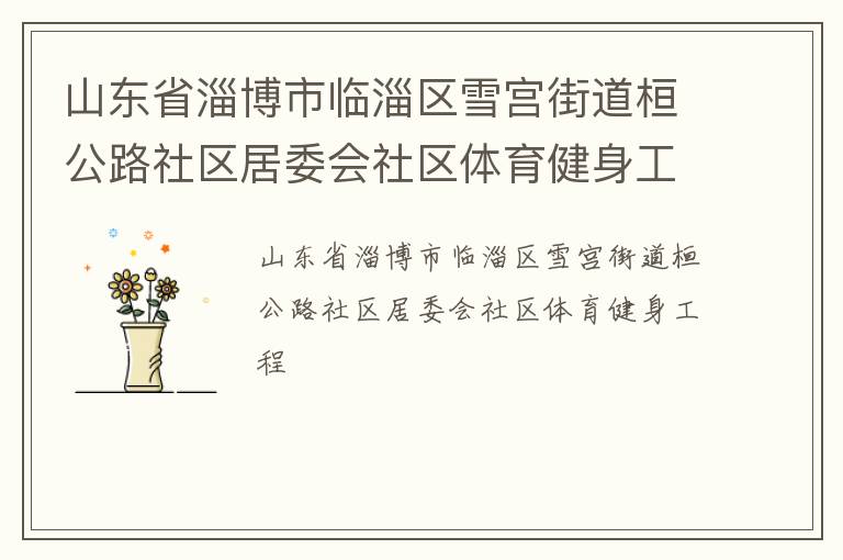 山東省淄博市臨淄區(qū)雪宮街道桓公路社區(qū)居委會(huì)社區(qū)體育健身工程 山東省淄博市臨淄區(qū)雪宮街道桓公路社區(qū)居委會(huì)社區(qū)體育健身工程