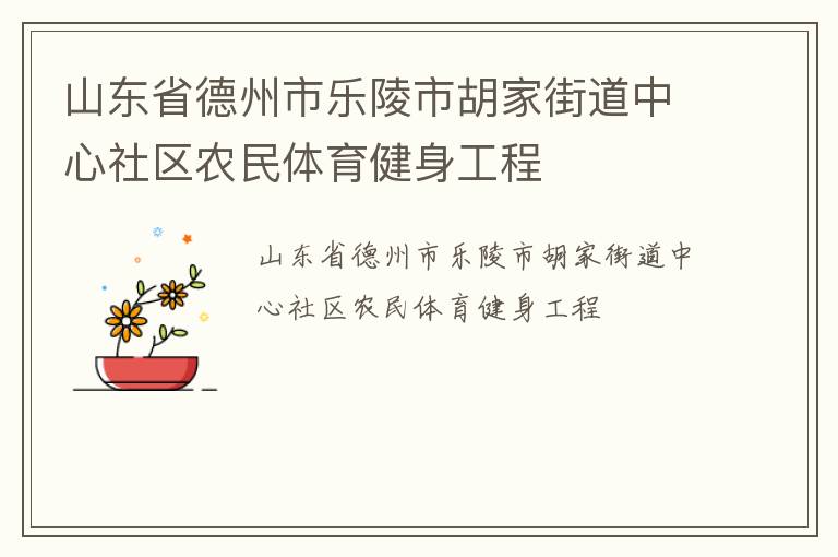 山東省德州市樂陵市胡家街道中心社區(qū)農(nóng)民體育健身工程 山東省德州市樂陵市胡家街道中心社區(qū)農(nóng)民體育健身工程