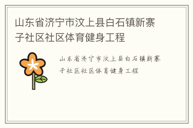 山東省濟(jì)寧市汶上縣白石鎮(zhèn)新寨子社區(qū)社區(qū)體育健身工程 山東省濟(jì)寧市汶上縣白石鎮(zhèn)新寨子社區(qū)社區(qū)體育健身工程