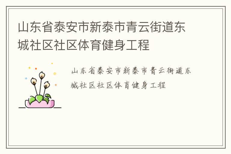 山東省泰安市新泰市青云街道東城社區(qū)社區(qū)體育健身工程 山東省泰安市新泰市青云街道東城社區(qū)社區(qū)體育健身工程
