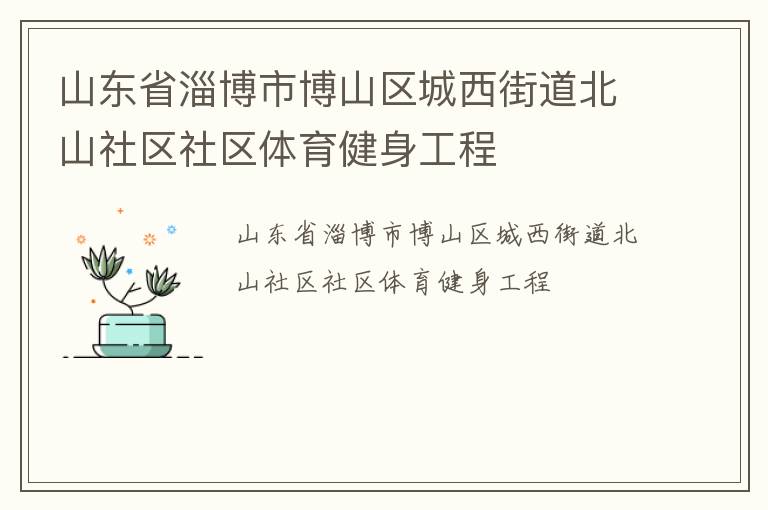 山東省淄博市博山區(qū)城西街道北山社區(qū)社區(qū)體育健身工程 山東省淄博市博山區(qū)城西街道北山社區(qū)社區(qū)體育健身工程