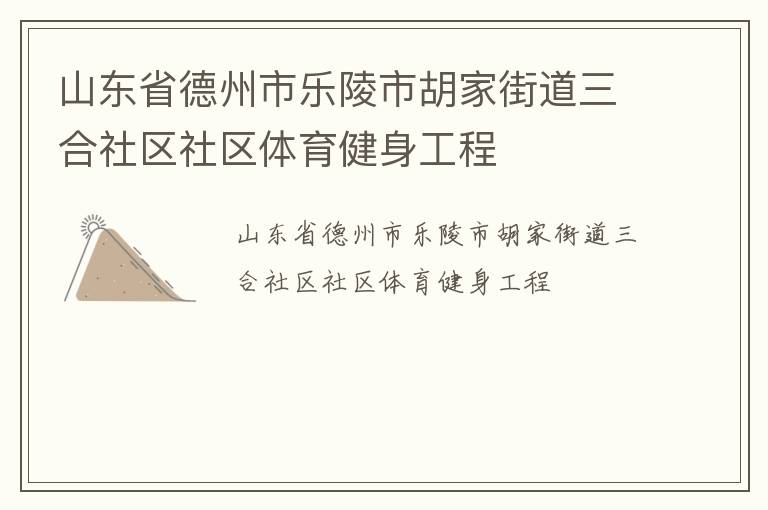 山東省德州市樂陵市胡家街道三合社區(qū)社區(qū)體育健身工程 山東省德州市樂陵市胡家街道三合社區(qū)社區(qū)體育健身工程