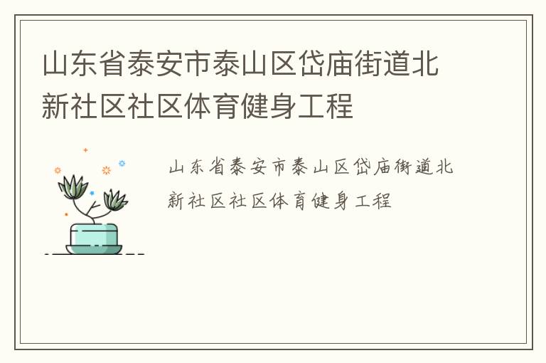 山東省泰安市泰山區(qū)岱廟街道北新社區(qū)社區(qū)體育健身工程 山東省泰安市泰山區(qū)岱廟街道北新社區(qū)社區(qū)體育健身工程