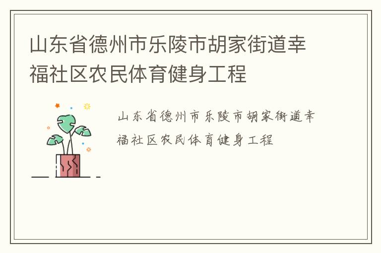 山東省德州市樂陵市胡家街道幸福社區(qū)農民體育健身工程