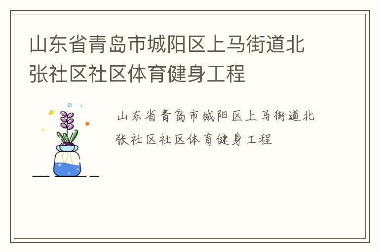 山東省青島市城陽(yáng)區(qū)上馬街道北張社區(qū)社區(qū)體育健身工程 山東省青島市城陽(yáng)區(qū)上馬街道北張社區(qū)社區(qū)體育健身工程