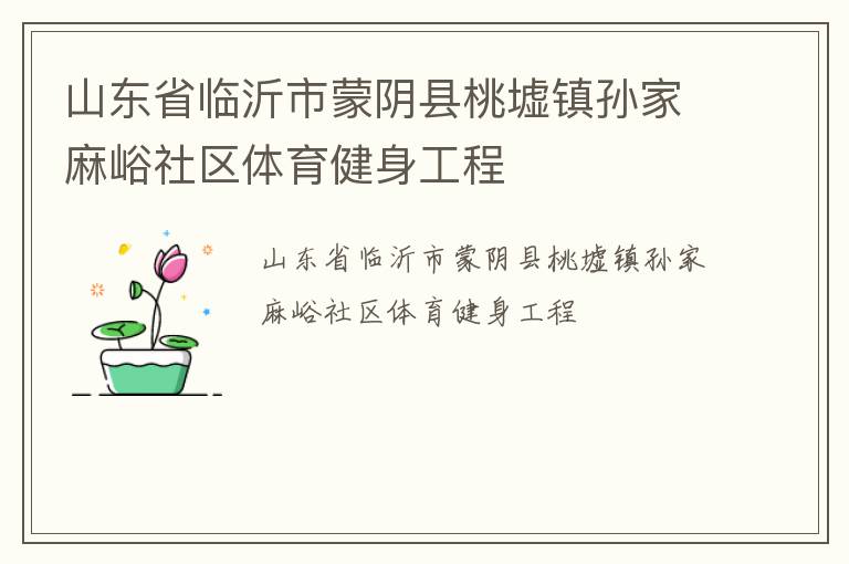 山東省臨沂市蒙陰縣桃墟鎮(zhèn)孫家麻峪社區(qū)體育健身工程 山東省臨沂市蒙陰縣桃墟鎮(zhèn)孫家麻峪社區(qū)體育健身工程