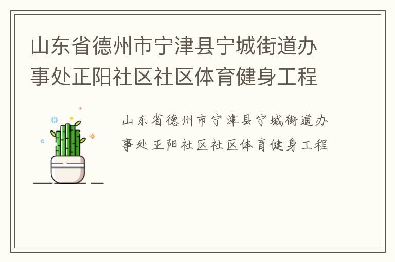 山東省德州市寧津縣寧城街道辦事處正陽社區(qū)社區(qū)體育健身工程