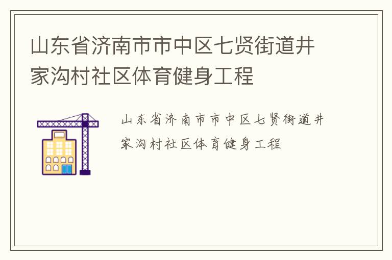 山東省濟南市市中區(qū)七賢街道井家溝村社區(qū)體育健身工程