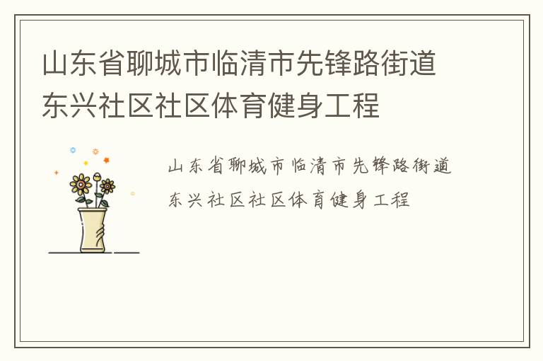 山東省聊城市臨清市先鋒路街道東興社區(qū)社區(qū)體育健身工程 山東省聊城市臨清市先鋒路街道東興社區(qū)社區(qū)體育健身工程