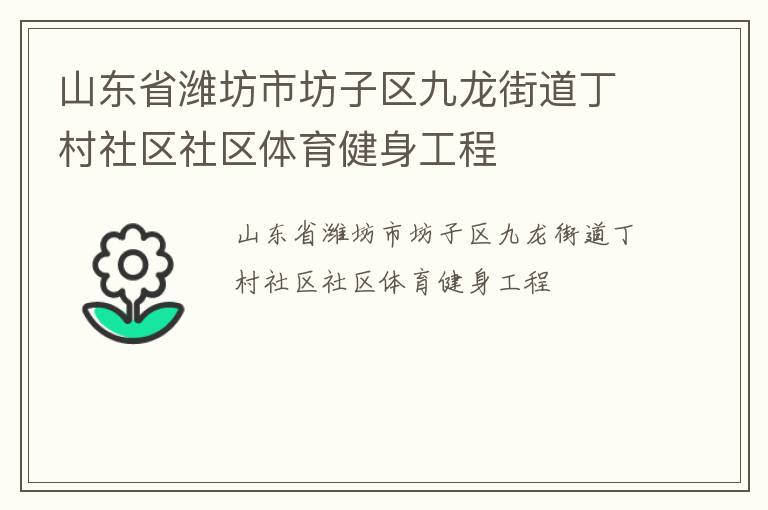 山東省濰坊市坊子區(qū)九龍街道丁村社區(qū)社區(qū)體育健身工程 山東省濰坊市坊子區(qū)九龍街道丁村社區(qū)社區(qū)體育健身工程