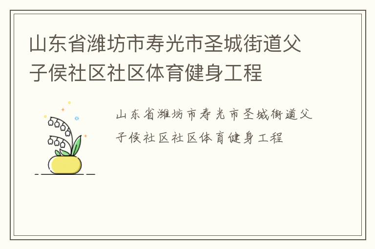 山東省濰坊市壽光市圣城街道父子侯社區(qū)社區(qū)體育健身工程 山東省濰坊市壽光市圣城街道父子侯社區(qū)社區(qū)體育健身工程