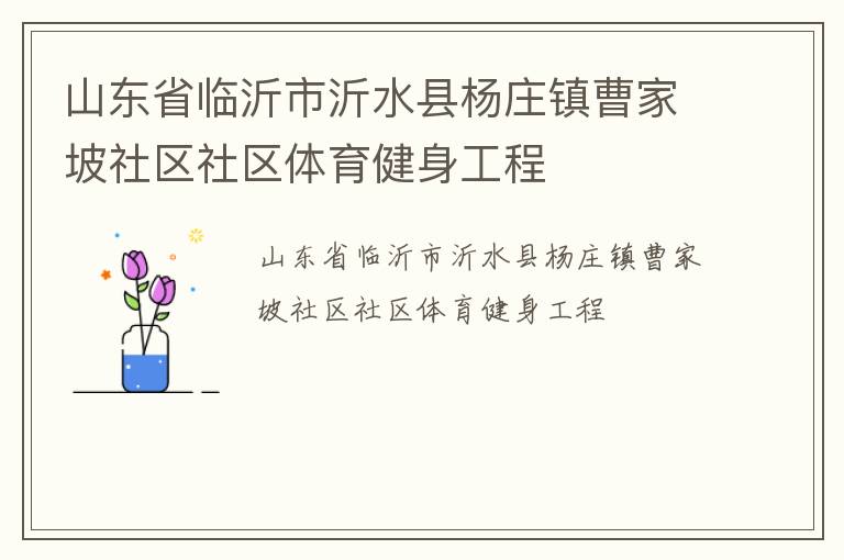 山東省臨沂市沂水縣楊莊鎮(zhèn)曹家坡社區(qū)社區(qū)體育健身工程