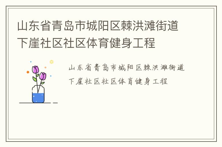 山東省青島市城陽區(qū)棘洪灘街道下崖社區(qū)社區(qū)體育健身工程 山東省青島市城陽區(qū)棘洪灘街道下崖社區(qū)社區(qū)體育健身工程
