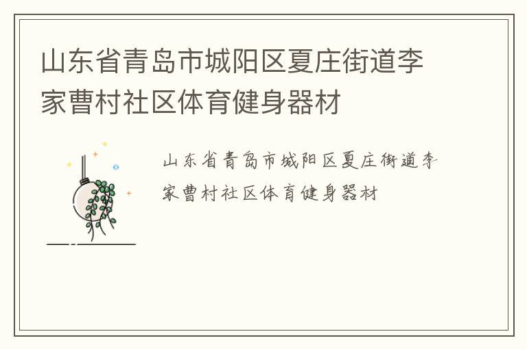 山東省青島市城陽區(qū)夏莊街道李家曹村社區(qū)體育健身器材 山東省青島市城陽區(qū)夏莊街道李家曹村社區(qū)體育健身器材