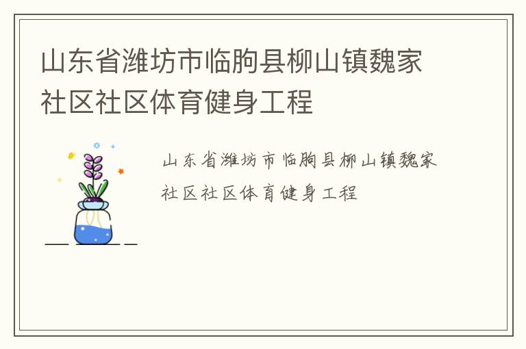 山東省濰坊市臨朐縣柳山鎮(zhèn)魏家社區(qū)社區(qū)體育健身工程 山東省濰坊市臨朐縣柳山鎮(zhèn)魏家社區(qū)社區(qū)體育健身工程