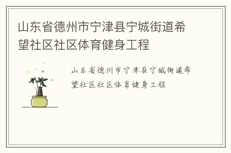山東省德州市寧津縣寧城街道希望社區(qū)社區(qū)體育健身工程 山東省德州市寧津縣寧城街道希望社區(qū)社區(qū)體育健身工程