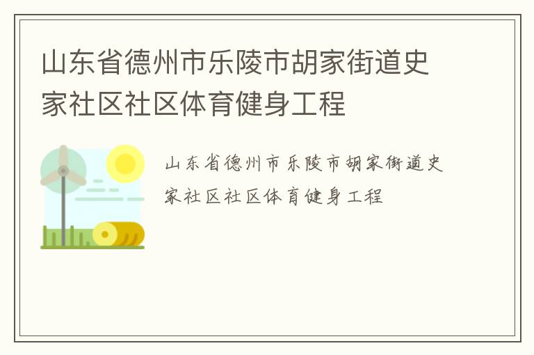 山東省德州市樂(lè)陵市胡家街道史家社區(qū)社區(qū)體育健身工程 山東省德州市樂(lè)陵市胡家街道史家社區(qū)社區(qū)體育健身工程