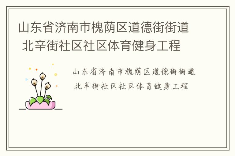 山東省濟(jì)南市槐蔭區(qū)道德街街道 北辛街社區(qū)社區(qū)體育健身工程 山東省濟(jì)南市槐蔭區(qū)道德街街道 北辛街社區(qū)社區(qū)體育健身工程