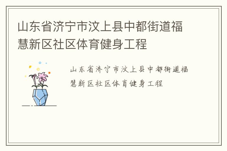 山東省濟寧市汶上縣中都街道福慧新區(qū)社區(qū)體育健身工程
