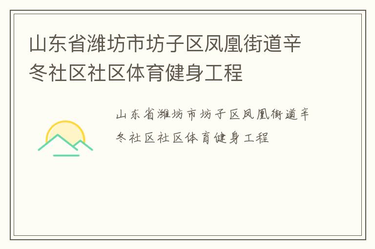 山東省濰坊市坊子區(qū)鳳凰街道辛冬社區(qū)社區(qū)體育健身工程 山東省濰坊市坊子區(qū)鳳凰街道辛冬社區(qū)社區(qū)體育健身工程