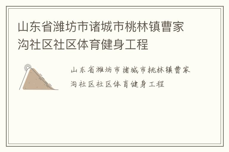 山東省濰坊市諸城市桃林鎮(zhèn)曹家溝社區(qū)社區(qū)體育健身工程 山東省濰坊市諸城市桃林鎮(zhèn)曹家溝社區(qū)社區(qū)體育健身工程