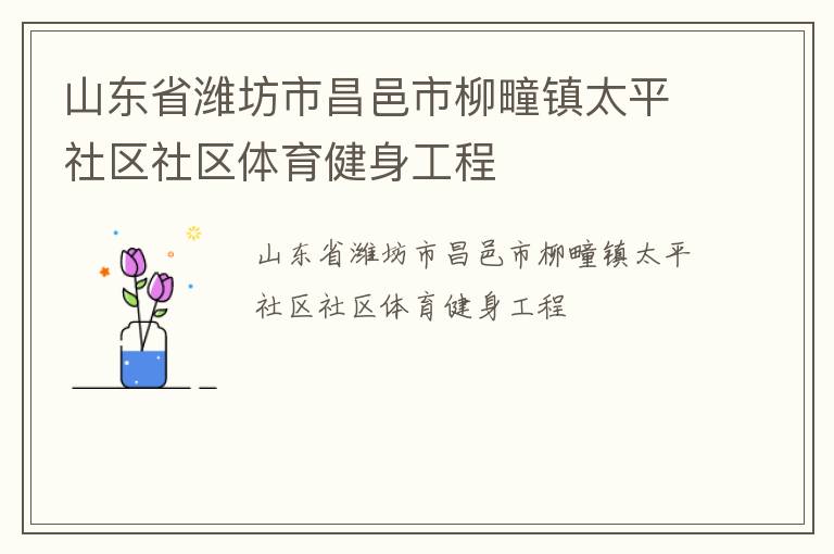 山東省濰坊市昌邑市柳疃鎮(zhèn)太平社區(qū)社區(qū)體育健身工程 山東省濰坊市昌邑市柳疃鎮(zhèn)太平社區(qū)社區(qū)體育健身工程