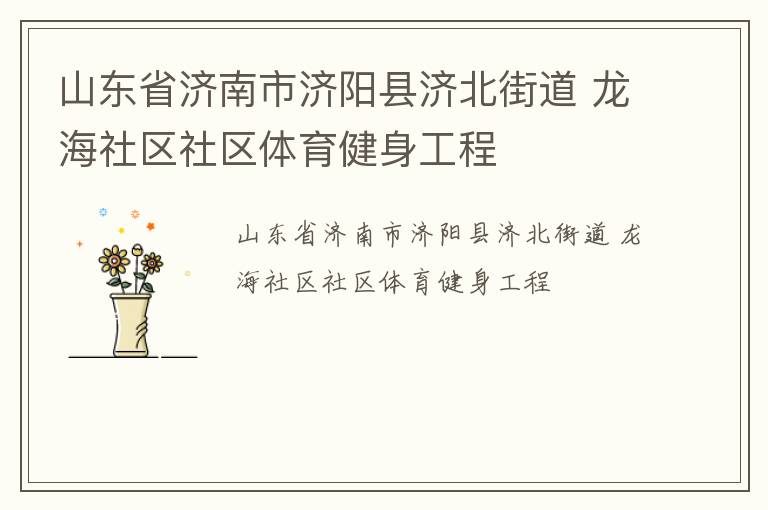 山東省濟南市濟陽縣濟北街道 龍海社區(qū)社區(qū)體育健身工程 山東省濟南市濟陽縣濟北街道 龍海社區(qū)社區(qū)體育健身工程