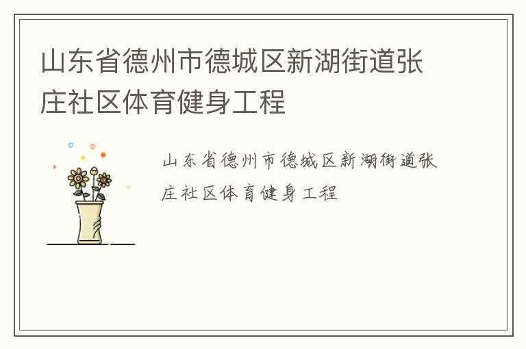 山東省德州市德城區(qū)新湖街道張莊社區(qū)體育健身工程