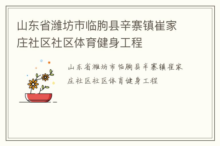 山東省濰坊市臨朐縣辛寨鎮(zhèn)崔家莊社區(qū)社區(qū)體育健身工程 山東省濰坊市臨朐縣辛寨鎮(zhèn)崔家莊社區(qū)社區(qū)體育健身工程
