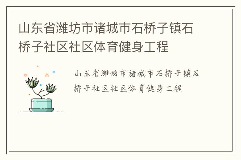 山東省濰坊市諸城市石橋子鎮(zhèn)石橋子社區(qū)社區(qū)體育健身工程 山東省濰坊市諸城市石橋子鎮(zhèn)石橋子社區(qū)社區(qū)體育健身工程