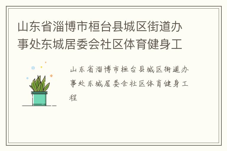 山東省淄博市桓臺(tái)縣城區(qū)街道辦事處東城居委會(huì)社區(qū)體育健身工程 山東省淄博市桓臺(tái)縣城區(qū)街道辦事處東城居委會(huì)社區(qū)體育健身工程