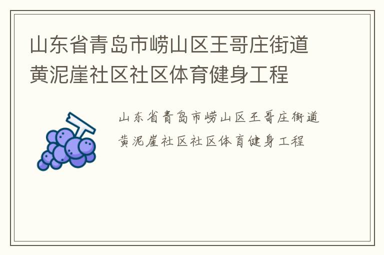 山東省青島市嶗山區(qū)王哥莊街道黃泥崖社區(qū)社區(qū)體育健身工程 山東省青島市嶗山區(qū)王哥莊街道黃泥崖社區(qū)社區(qū)體育健身工程
