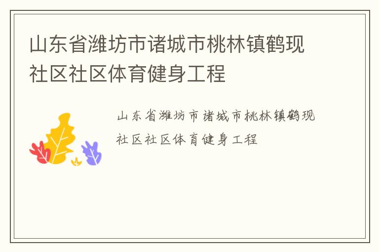 山東省濰坊市諸城市桃林鎮(zhèn)鶴現(xiàn)社區(qū)社區(qū)體育健身工程 山東省濰坊市諸城市桃林鎮(zhèn)鶴現(xiàn)社區(qū)社區(qū)體育健身工程