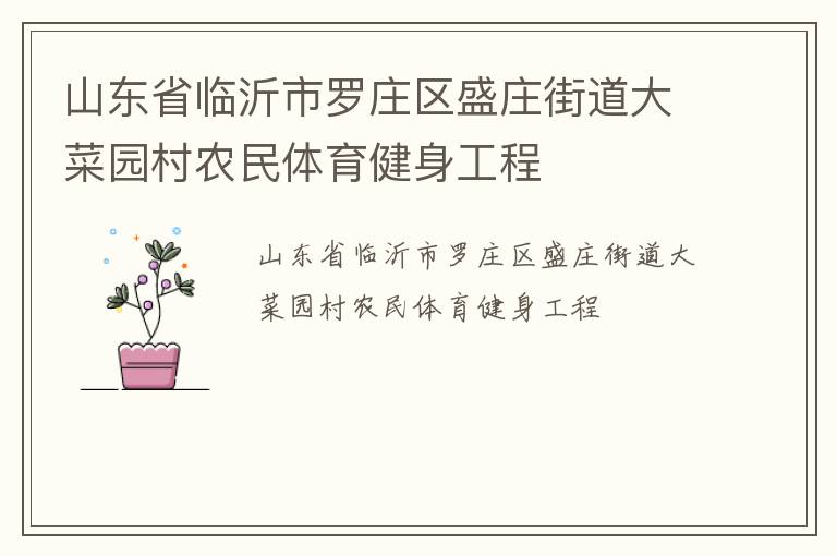 山東省臨沂市羅莊區(qū)盛莊街道大菜園村農(nóng)民體育健身工程 山東省臨沂市羅莊區(qū)盛莊街道大菜園村農(nóng)民體育健身工程