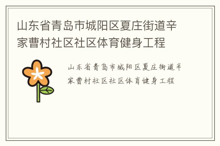 山東省青島市城陽(yáng)區(qū)夏莊街道辛家曹村社區(qū)社區(qū)體育健身工程 山東省青島市城陽(yáng)區(qū)夏莊街道辛家曹村社區(qū)社區(qū)體育健身工程