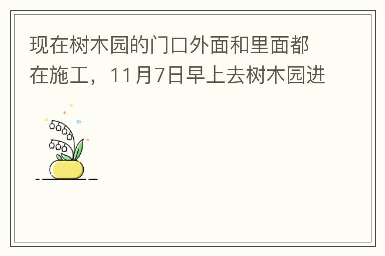 現(xiàn)在樹(shù)木園的門口外面和里面都在施工，11月7日早上去樹(shù)木園進(jìn)行戶外活動(dòng)，在出入口都是非常大的灰塵，有挖掘機(jī)等機(jī)械在施工，但是周圍都是灰塵，施工方?jīng)]有做好防塵措施，而且我們走的時(shí)候，竟然還有一個(gè)人拿著掃
