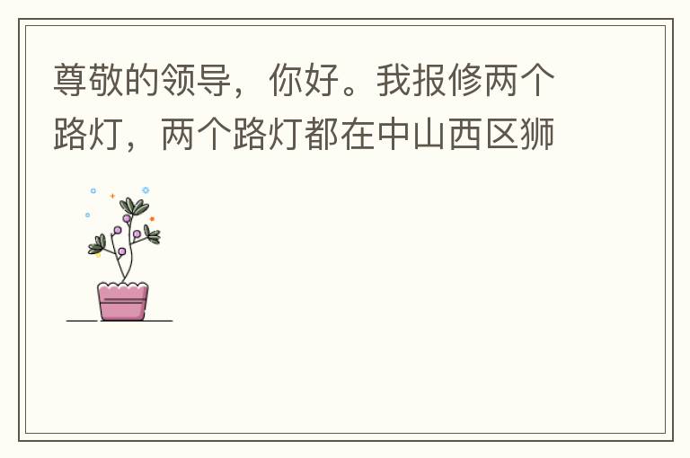 尊敬的領(lǐng)導(dǎo)，你好。我報(bào)修兩個(gè)路燈，兩個(gè)路燈都在中山西區(qū)獅滘口大橋。1.富華往濱江一號(hào)，下橋倒數(shù)第二支路燈已經(jīng)損壞。 2.濱江一號(hào)往富華方向，下橋最后一支路燈已經(jīng)損壞。麻煩及時(shí)修復(fù)，減少意外的發(fā)生。謝謝