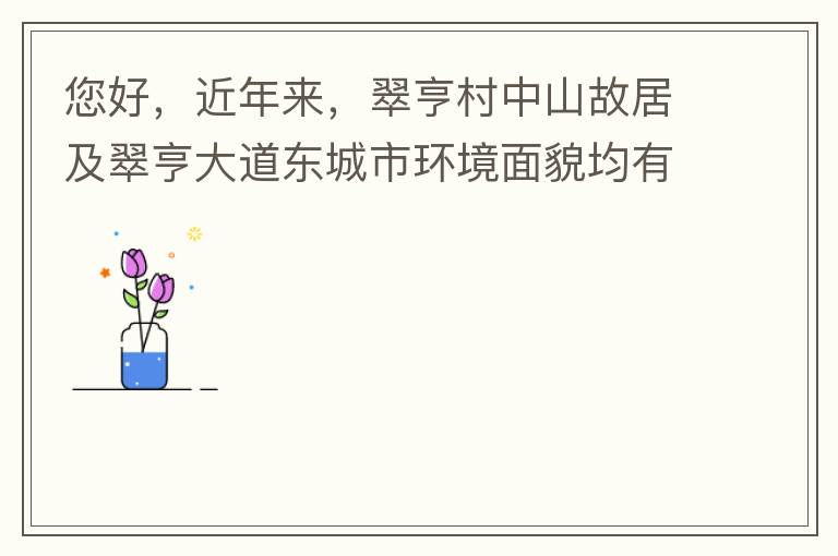 您好，近年來，翠亨村中山故居及翠亨大道東城市環(huán)境面貌均有所提升。但周邊環(huán)境仍然不夠理想，稍顯臟亂差，與5A風景區(qū)的定位不相協(xié)調，望繼續(xù)盡快改善為宜。多謝