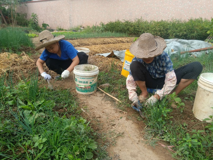 微信圖片_202010271544282.jpg