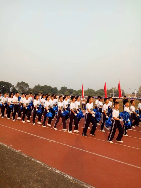 mmexport1573804256246.jpg