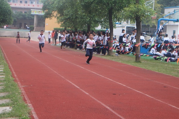 IMG_9910.JPG