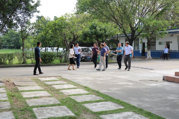 督查組來到神舟學(xué)校查看校園.jpg