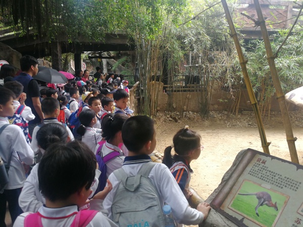 QQ圖片20190401170953.jpg