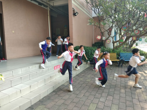 IMG_20191118_081645.jpg