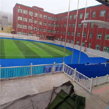 河北千力QL 塑膠跑道 厚度可定制 混合型塑膠跑道 epdm塑膠跑道 包驗(yàn)收 河北千力QL 塑膠跑道 厚度可定制 混合型塑膠跑道 epdm塑膠跑道 包驗(yàn)收