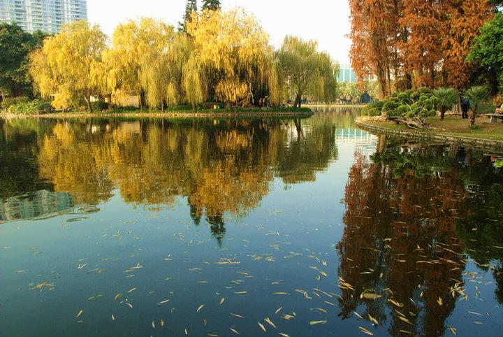 流花湖公園東北門（臨近陸軍總醫(yī)院、東方賓館）